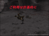 Chocobo's