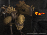 Chocobo's