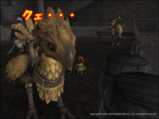 Chocobo's