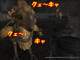Chocobo's