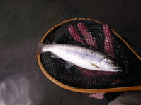 0904yama3