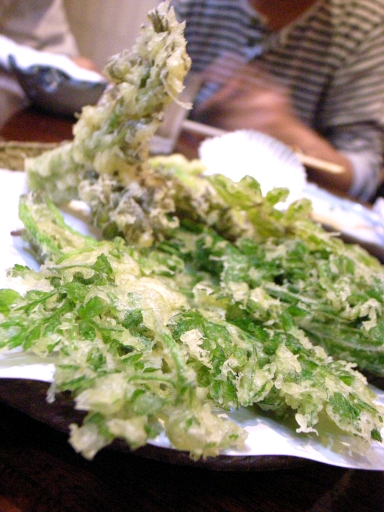 080502ºèÅ·¤×¤é
