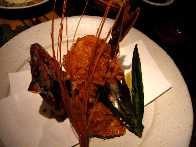 060509�ʤӤ��ޥ��륯�����Ȥ�1050.jpg