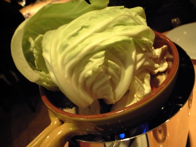 080125¥Ô¥Ã¥³¥í¥Ð¡¼¥Ë¥ã¥«¥¦¥À.jpg