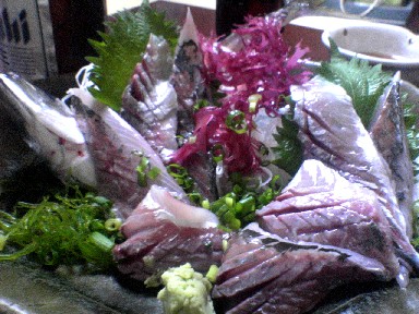 050430¤¢¤¸»É.jpg