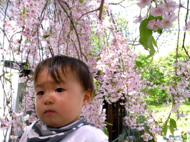 080505¢²¦ºù
