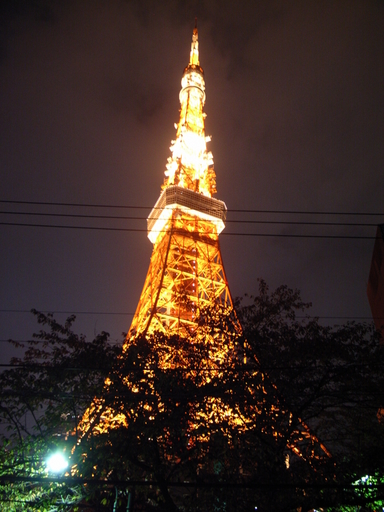 081115¥¿¥ï¥·¥¿Åìµþ¥¿¥ï¡¼