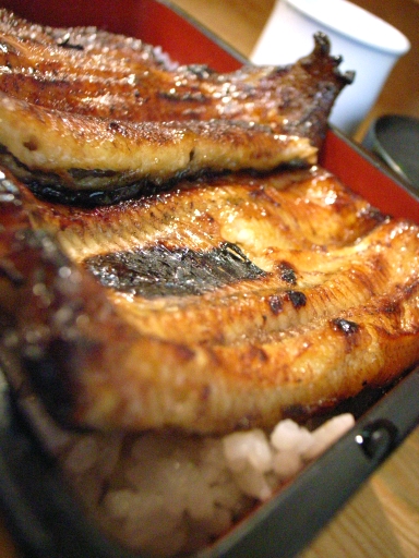 080806´ÝÀű·¥¢¥Ã¥×
