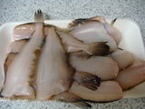 04712e3e.JPG