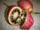 DSC02360