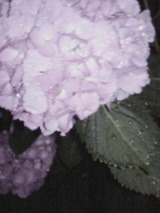 050616_0121~02.jpg