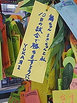050706_1720~01.jpg
