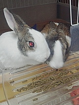 050803_2040~01.jpg