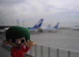 Narita_Robin