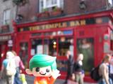 The_Temple_Bar_Robin