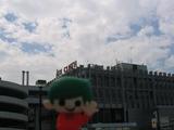 Dublin_airport_Robin