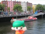 Liffey_Liver_Robin