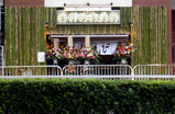 091104wasabi.jpg