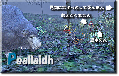 Peallaidh-01