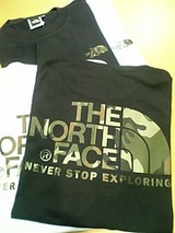 TNF LOGO TEE