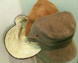 Cord Cap1