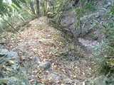 9a830ab3.JPG