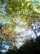 c96f7376.JPG