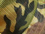HAT2