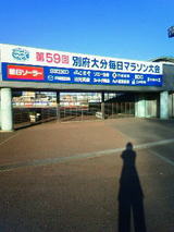 47e833a6.jpg