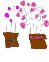 koerarenaikabe