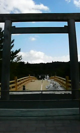 6d392de3.jpg