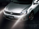 cox_hid_golf6_03.jpg