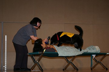 聴導犬目覚まし