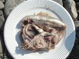 ���塼�륹�ȥ�ߥ󥰣�