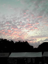 81d1e805.JPG