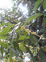 f69abb48.JPG