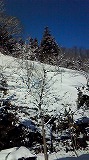 山形かみのやま温泉名月荘 (4)