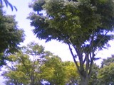 050609_1154~01.jpg
