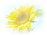 �Ҥޤ�����إå���������