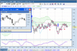 CHF070226W