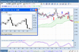 AUD070131