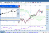 NZD070226W