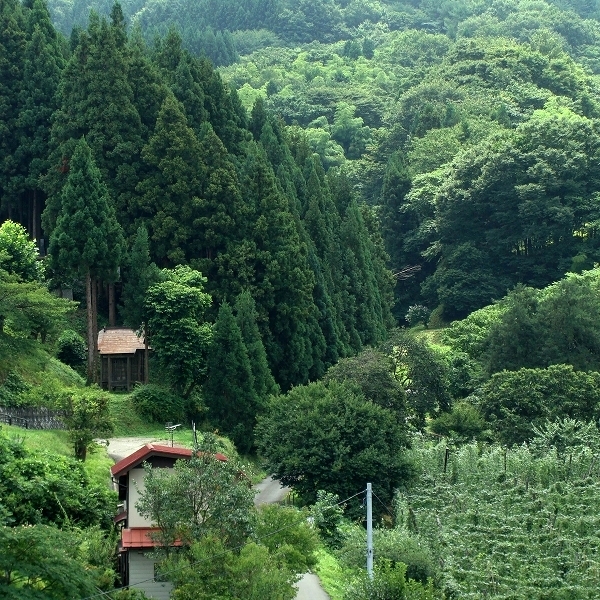 yama