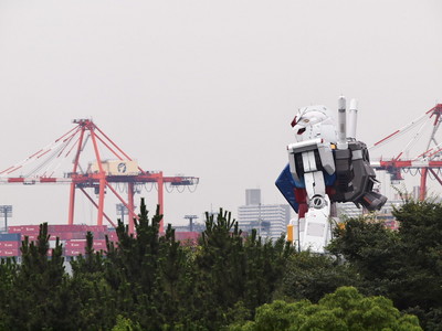 P7125026