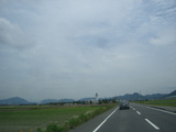 tamano