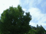 �̳ʣ���