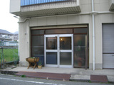 ターリー