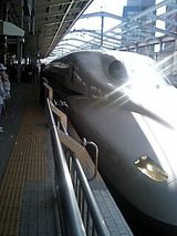 516f25f9.jpg
