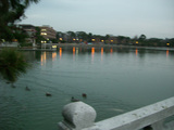 公園1