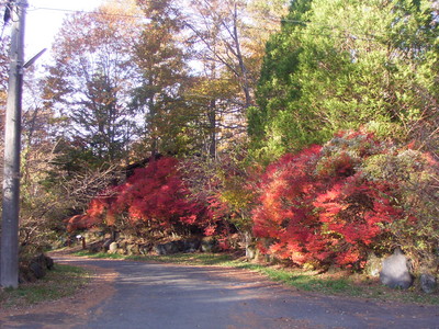 20091104別荘地紅葉